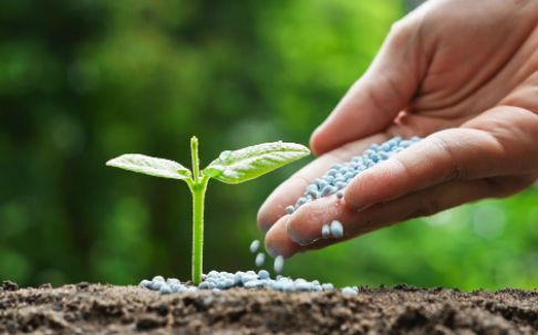 Crop Fertilizers